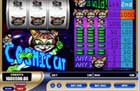 cosmic cat